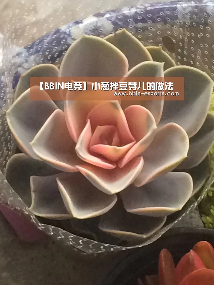 【BBIN电竞】小葱拌豆芽儿的做法(图1) BBIN电竞