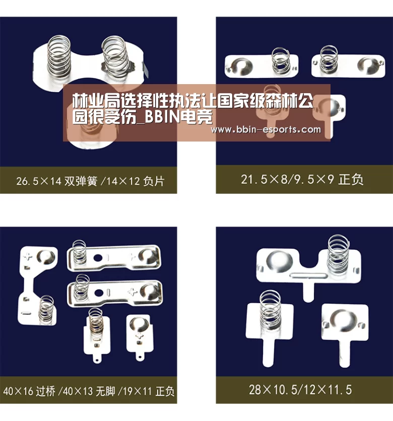 林业局选择性执法让国家级森林公园很受伤_BBIN电竞(图3) BBIN电竞
