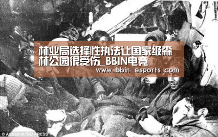 林业局选择性执法让国家级森林公园很受伤_BBIN电竞(图1) BBIN足球