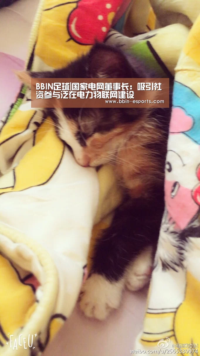 BBIN足球|国家电网董事长:吸引社资参与泛在电力物联网建设(图2) BBIN足球