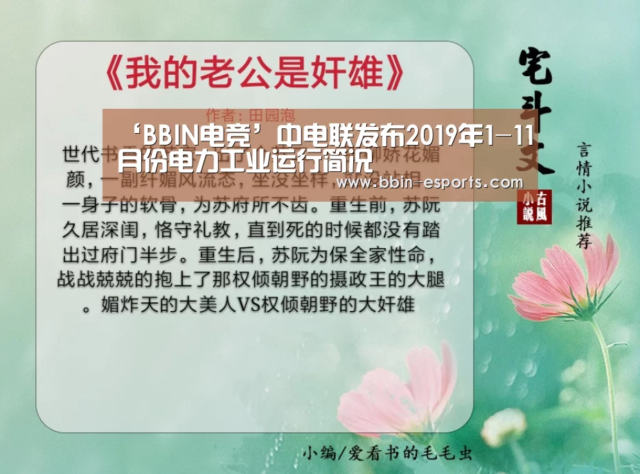‘BBIN电竞’中电联发布2019年1-11月份电力工业运行简况(图1) BBIN电竞